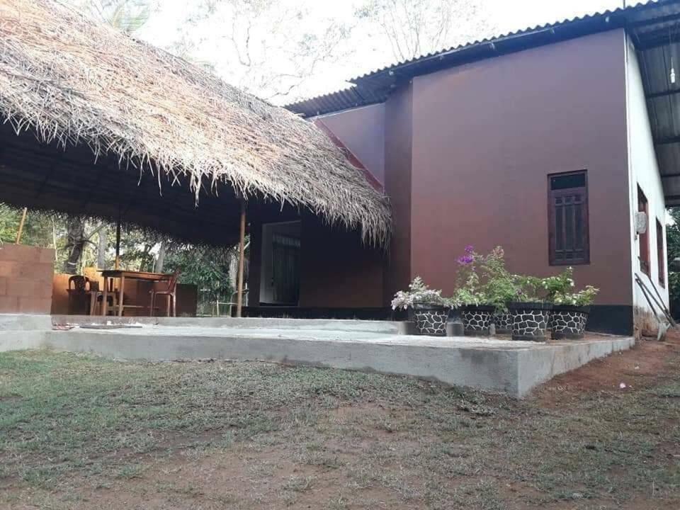 Gimanhala Cottage & Cookary Class Anuradhapura Zewnętrze zdjęcie
