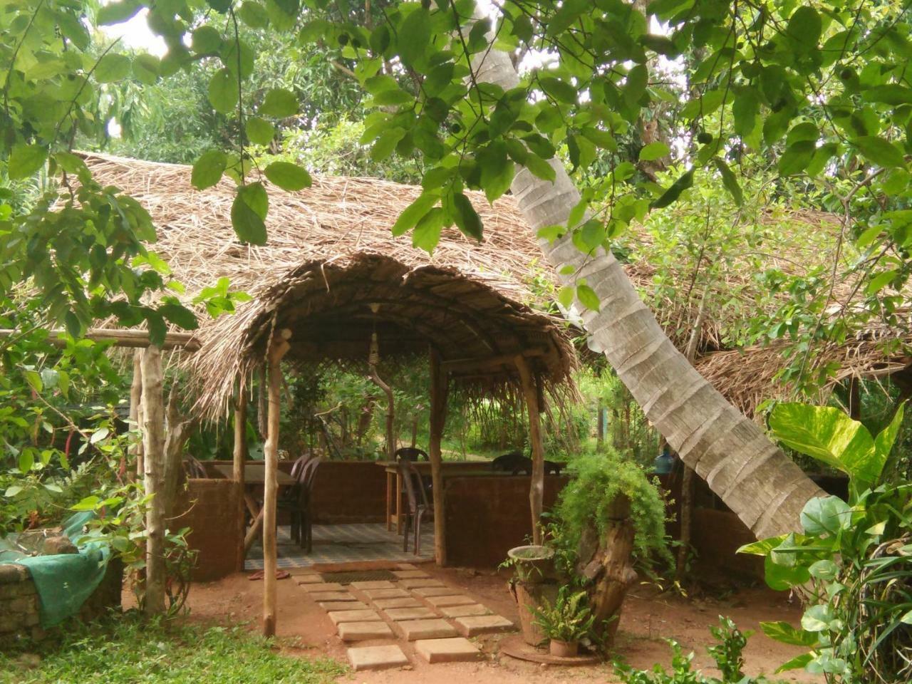 Gimanhala Cottage & Cookary Class Anuradhapura Zewnętrze zdjęcie